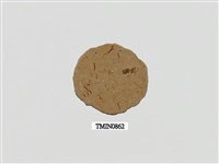 藏品(白堊紀昆蟲化石)的圖片